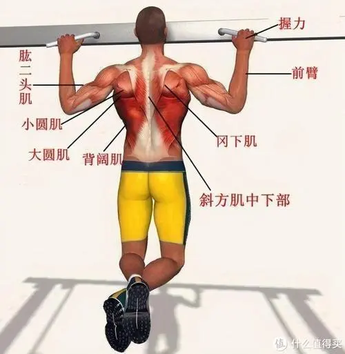 现代园林景观设计理念是什么意思